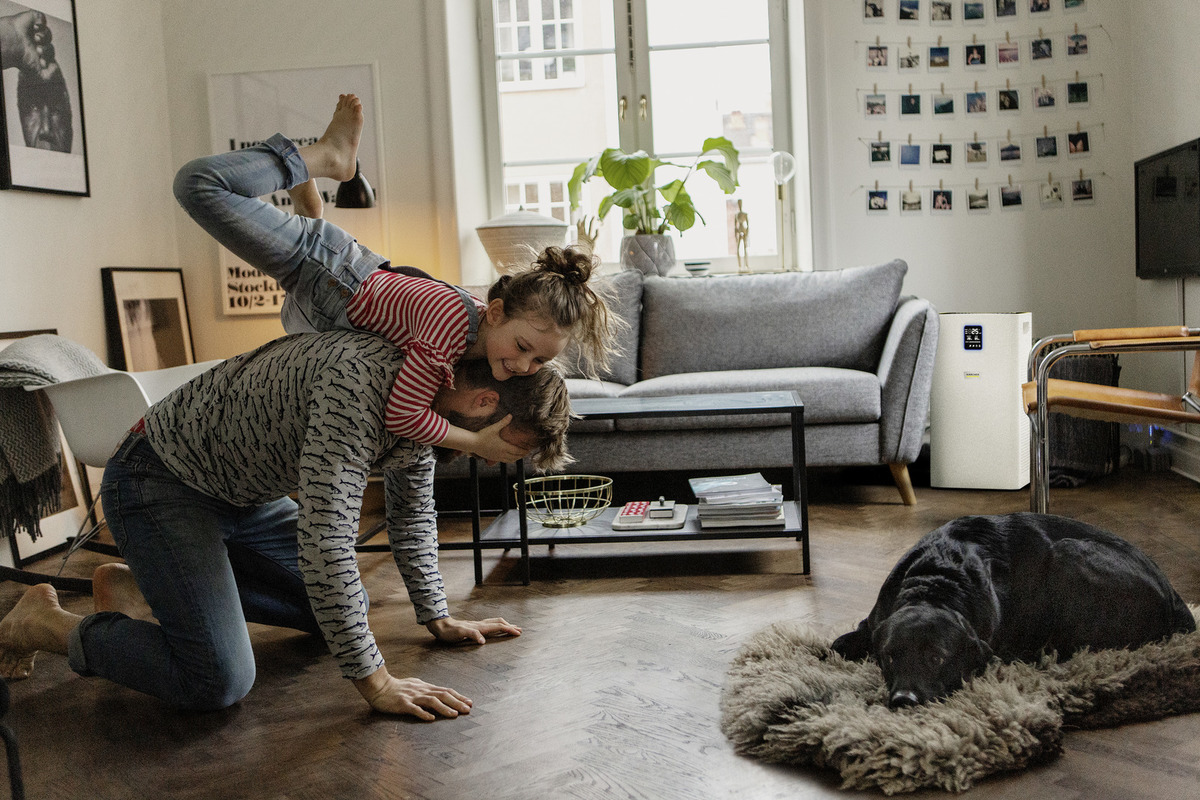 ΚΑΘΑΡΙΣΤΗΣ ΑΕΡΑ AF 50 - Image 2