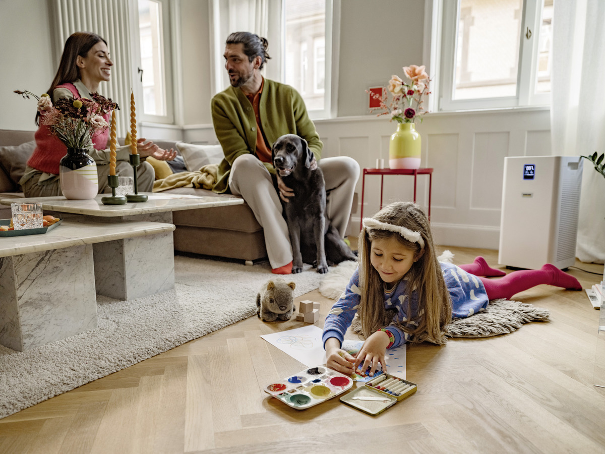 ΚΑΘΑΡΙΣΤΗΣ ΑΕΡΑ AF 50 - Image 3